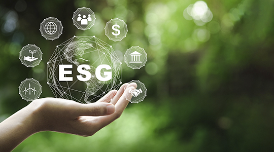 Как изменилось отношение бизнеса к повестке ESG за год